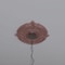 Ekena Millwork Attica PVC Medallion (Canopies up to 5"), 13"OD x 3 1/2"ID x 3/4"P, Metallic Champagne Pink CMP13ATFCP - alternate 10